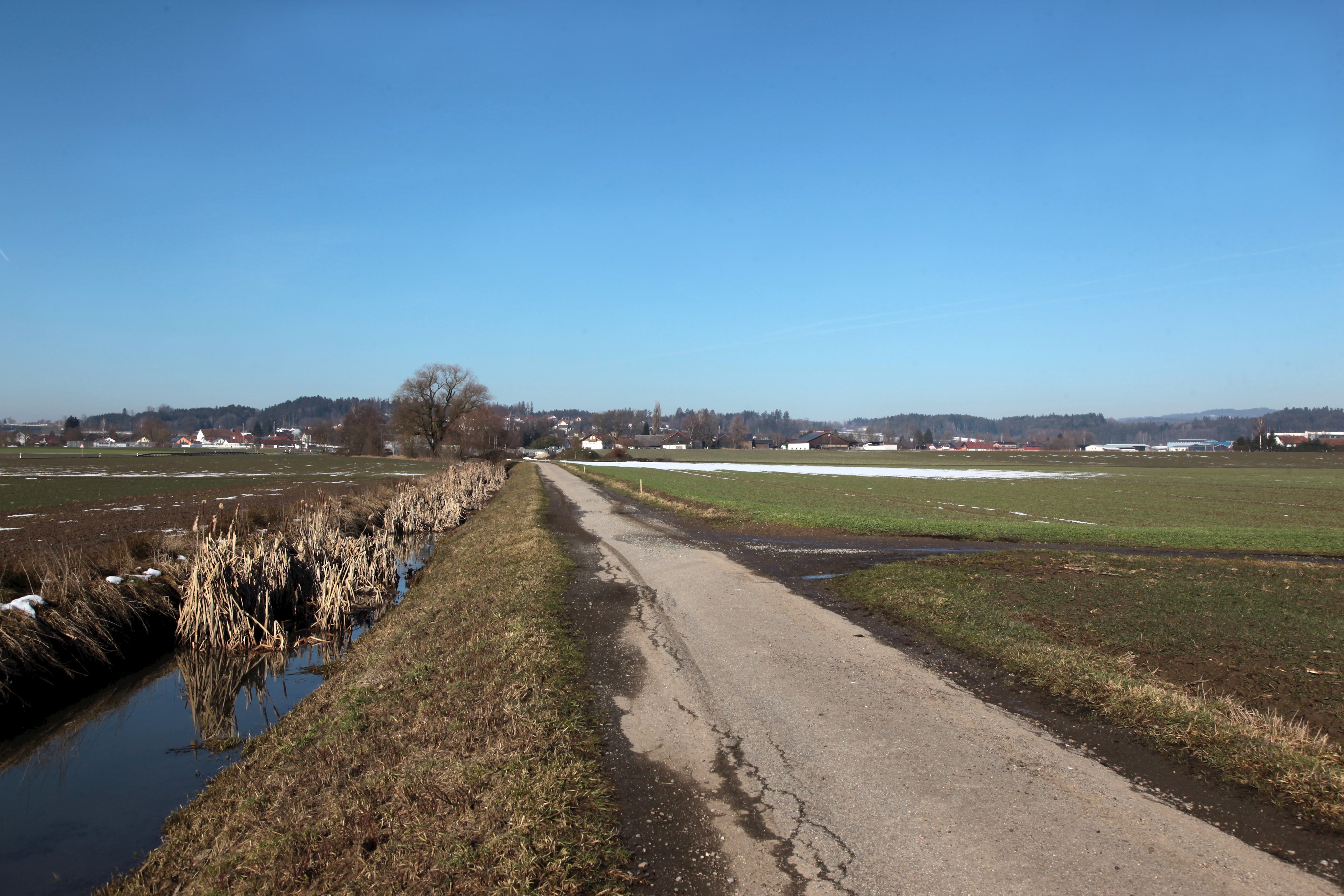 Leider haben wir keinen Alternativtext zu diesem Bild, aber wir arbeiten daran.