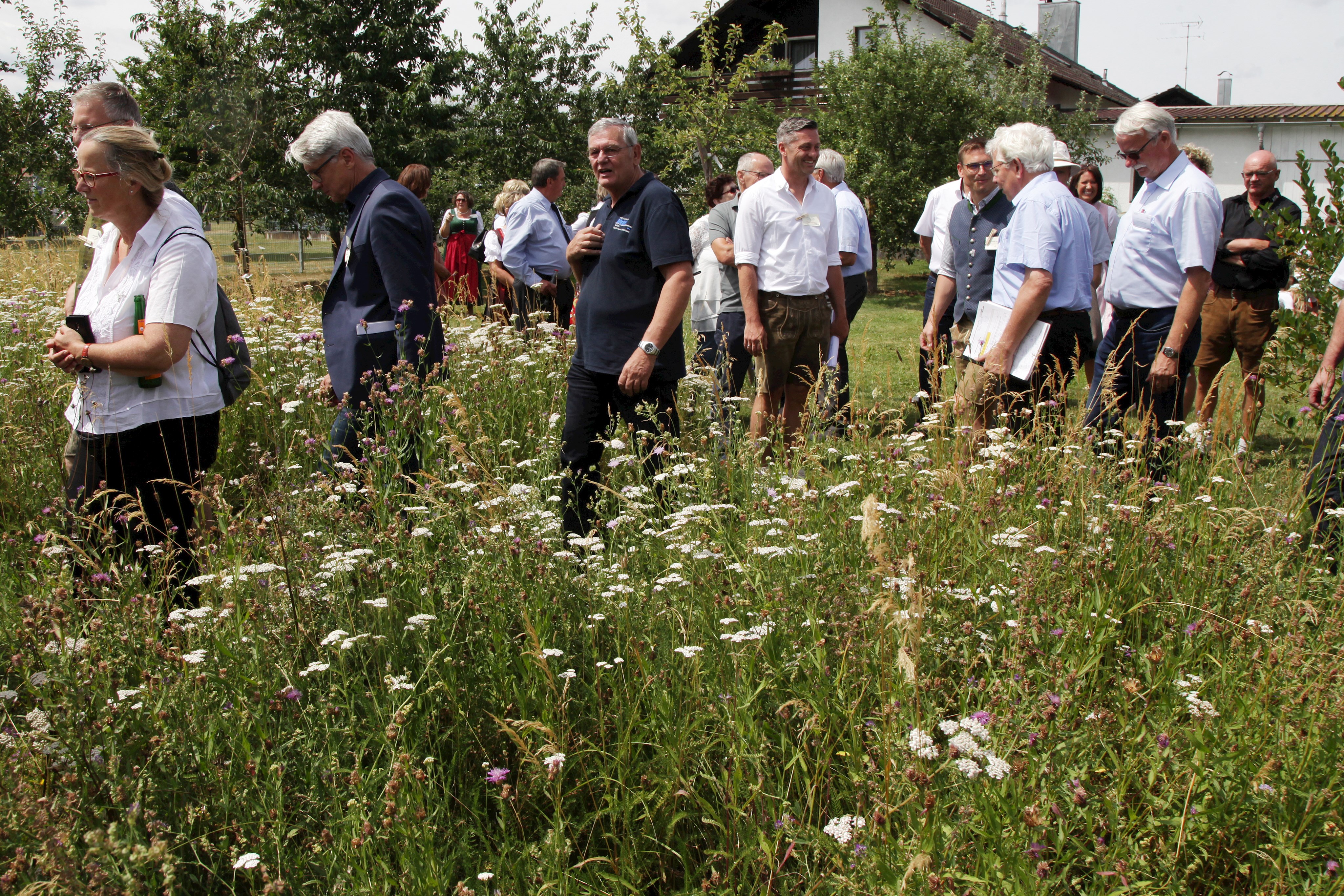 659 V22-19 Unser Dorf hat Zukunft 8.7.2019-Foto Neuhofer.JPG